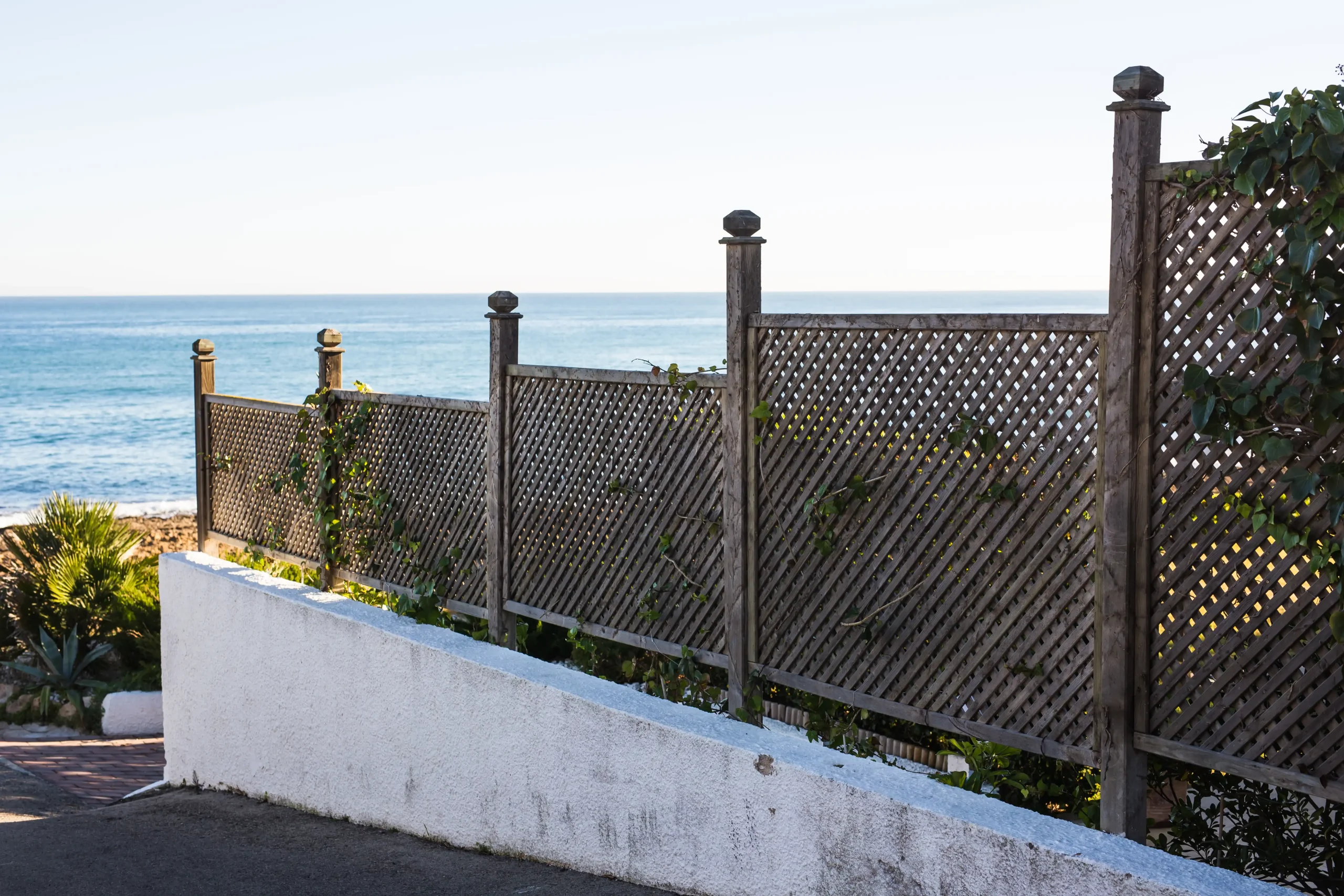 sunny-street-with-palms-and-trees-in-the-old-city-2026-01-08-05-10-15-utc